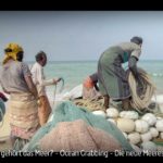 ARTE-Doku: Wem gehört das Meer? Ocean Grabbing - Die neue Meeresordnung