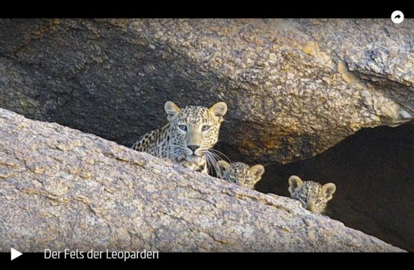 ARTE-Doku: Der Fels der Leoparden