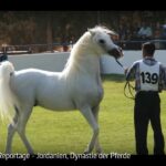 ARTE-Doku: Jordanien, Dynastie der Pferde