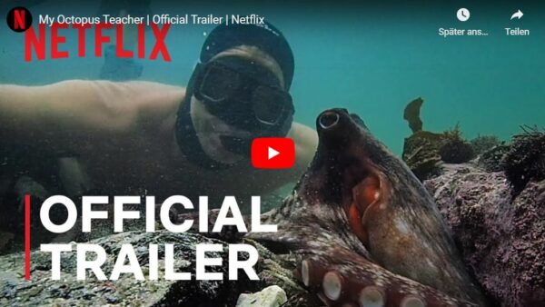 Netflix: Mein Lehrer, der Oktopus // Doku-Empfehlung von Kevin Kelly