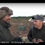 ARTE-Doku: Mission Birkhuhn - Die Rettung der tanzenden Vögel