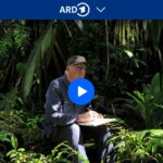 ARD: Das Geheimnis der Bäume // Doku-Empfehlung von ‎Nicole Förster