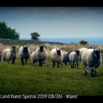 ARTE-Doku: Ein Jahr in Irlands Natur (5 Teile)