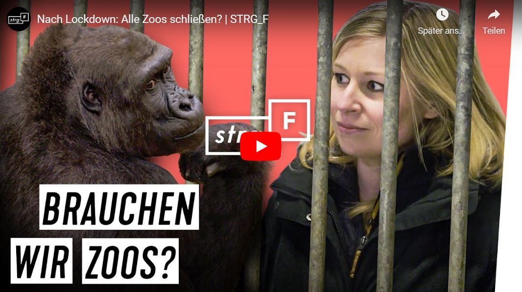 STRG_F: Nach Lockdown - Alle Zoos schließen?