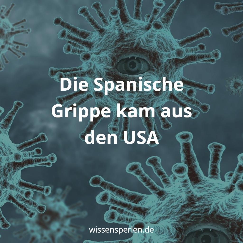Die Spanische Grippe kam aus den USA