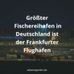Größter Fischereihafen in Deutschland ist der Frankfurter Flughafen