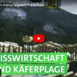 WDR-Doku: Unser Wald - Dem Untergang geweiht?