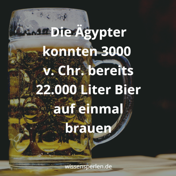 Die Ägypter konnten 3000 v. Chr. bereits 22.000 Liter Bier auf einmal brauen