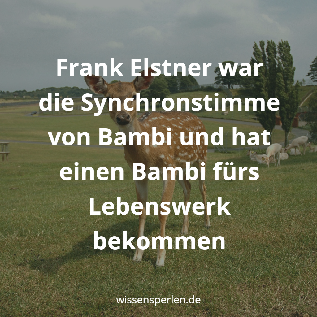 Frank Elstner war die Synchronstimme von Bambi und hat einen Bambi fürs Lebenswerk bekommen