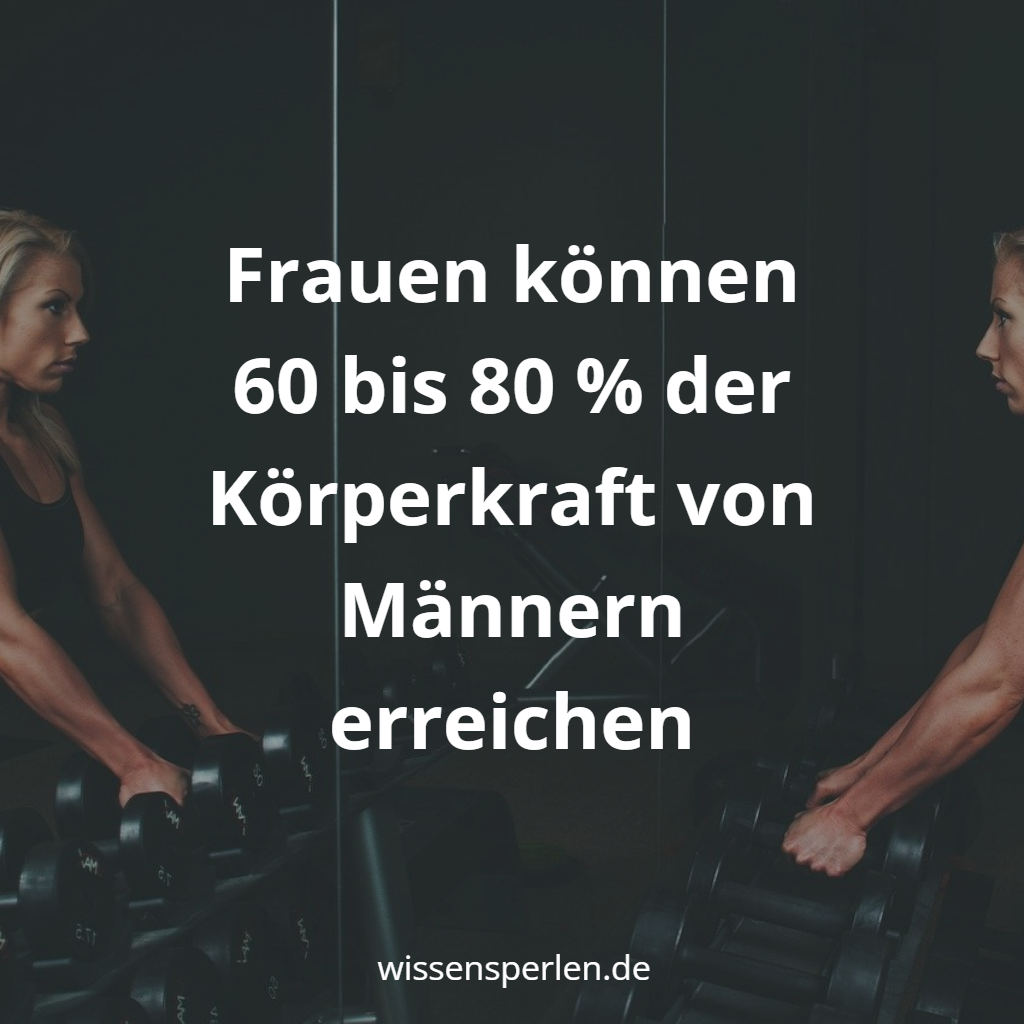 Frauen können 60 bis 80 % der Körperkraft von Männern erreichen