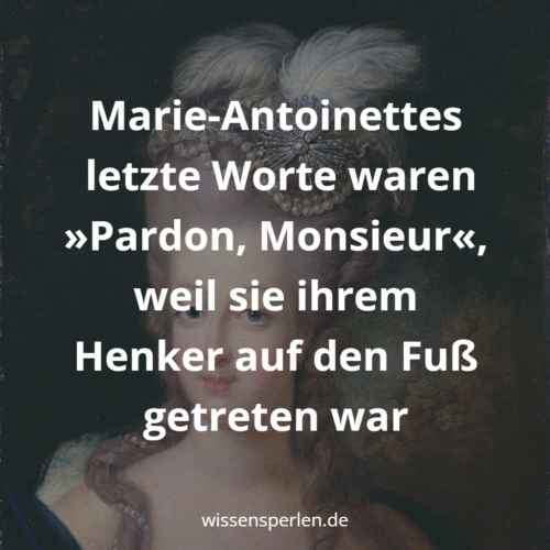 letzte Worte waren »Pardon, Monsieur«, weil sie ihrem