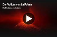 ARTE-Doku: Der Vulkan von La Palma - Die Rückkehr des Lebens