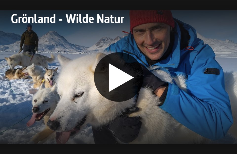 ARTE-Doku: Grönland - Wilde Natur