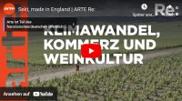 »Sekt, made in England« – ARTE-Doku über die Frage, ob Südengland dank Klimaerwärmung die neue Champagne wird