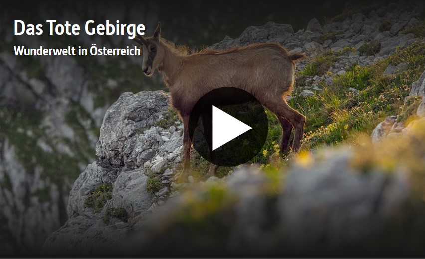 »Das Tote Gebirge - Wunderwelt in Österreich« – ARTE-Doku über das größte Karstplateau Mitteleuropas