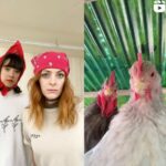 Smac McCreanor & Co.: Tiere wie Hühner als Vorlage für Tanzvideos
